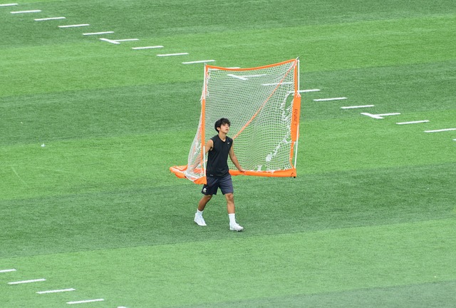 这种从容不