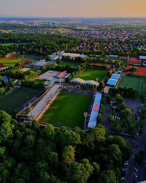 引发了对他 引发了对他