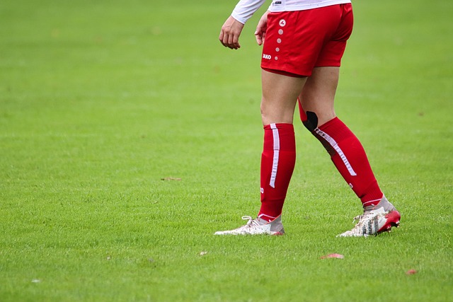 术素养称霸 术素养称霸