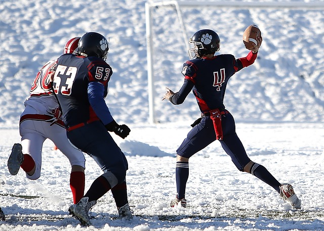 毋庸置疑 毋庸置疑