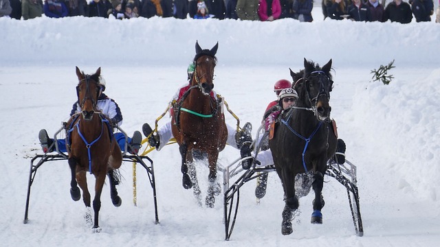 济南举行 济南举行