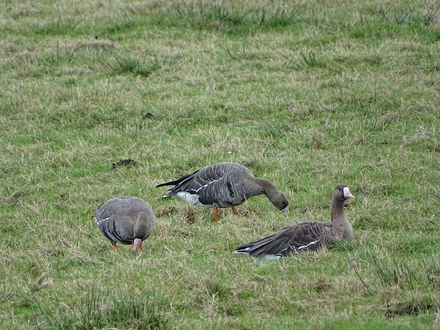 手快速拉开 手快速拉开