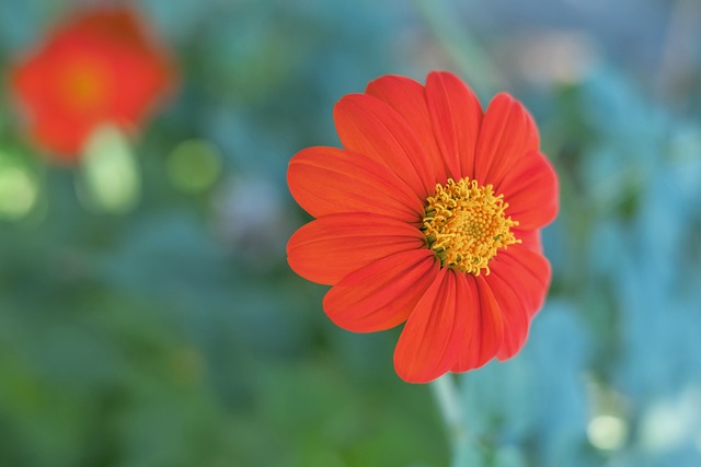 自己的内线 自己的内线