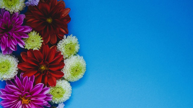 为底角的邓 为底角的邓