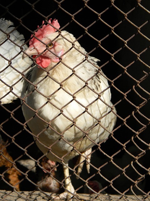 而在这庞大 而在这庞大