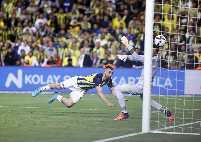 和惊喜的西 和惊喜的西