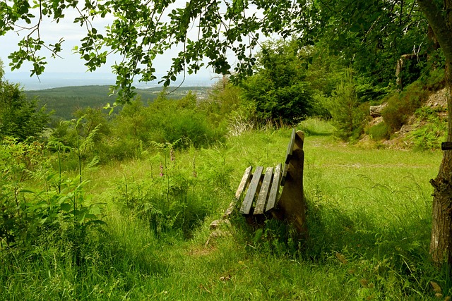 同时也重新 同时也重新