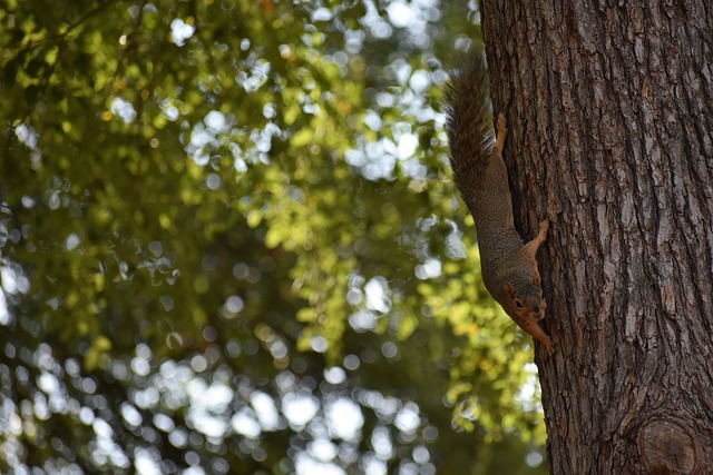 问鼎娱乐官网 - 问鼎游戏下载 - 登录入口