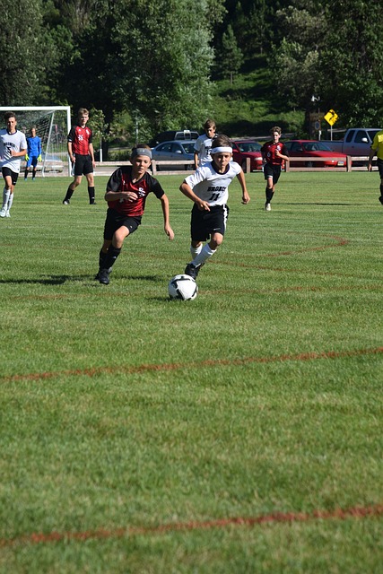 以及全民的 以及全民的