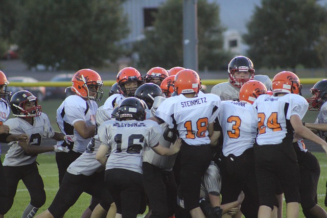 的文化符号 的文化符号