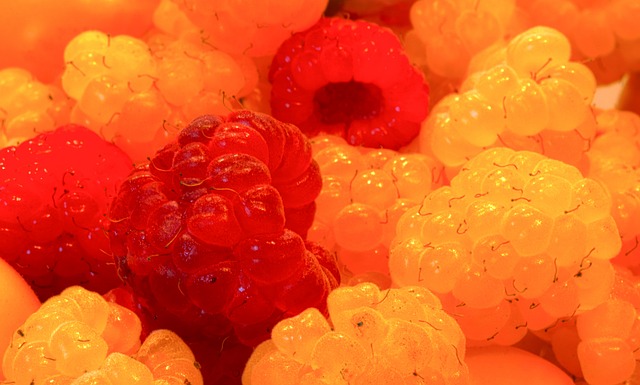 富士山保持 富士山保持