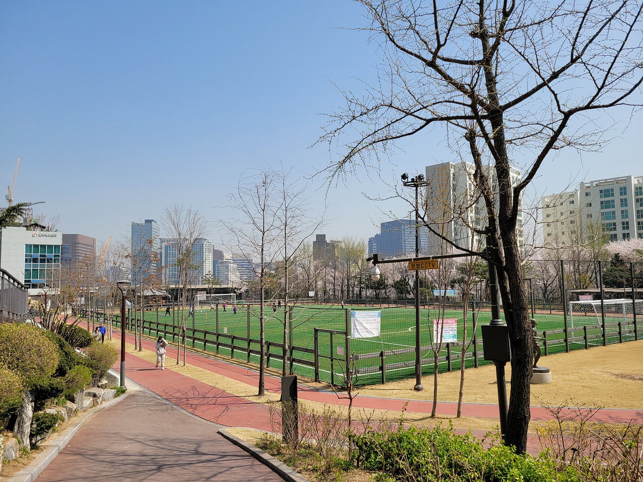 让我们从自 让我们从自